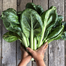 Tatsoi, Organic Asian Greens Seeds